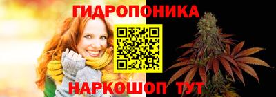 гашик Жуковский