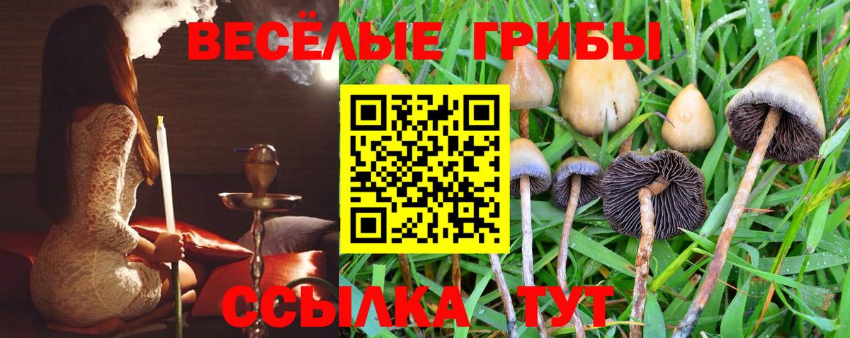 Галлюциногенные грибы мицелий  Вход с VPN  Мыски 