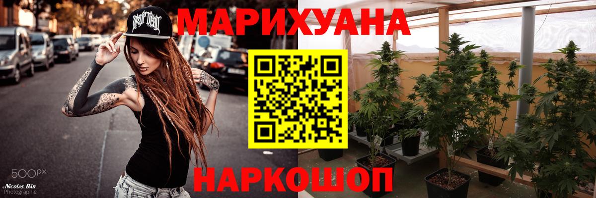 Конопля сатива Мыски